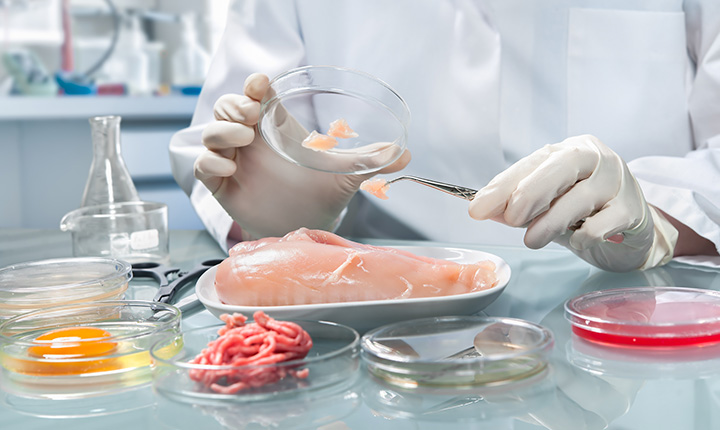 gloved hands placing chicken meat specimen in petri dish in science lab