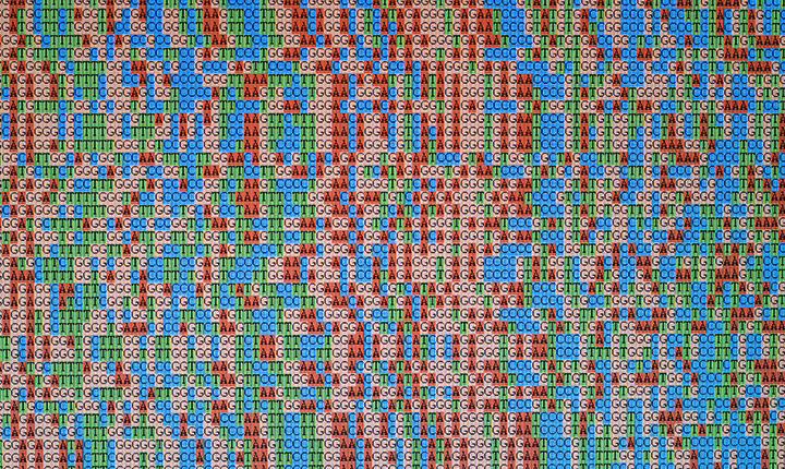 DNA bar code sequence