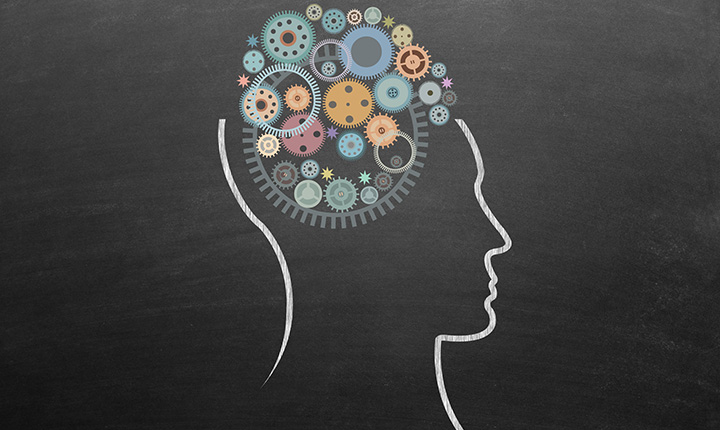 Chalk line drawing of a human head with gear icons representing the brain