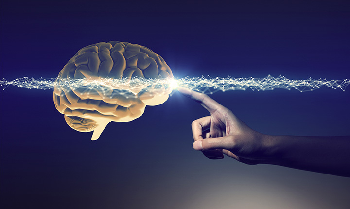 Graphic of a human brain with a finger pointing at it
