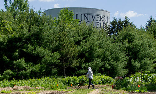 Person tilling garden with UofG water tower in background